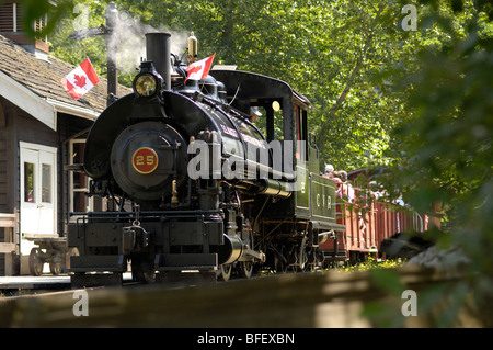 Train à vapeur BC Forest Discovery Centre, Duncan, Cowichan Valley, l'île de Vancouver, Colombie-Britannique, Canada. Banque D'Images