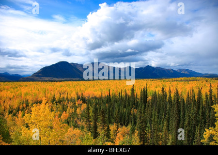 Voir en regardant vers le sud sur la route Canol Sud au cours de l'automne, au Yukon. Banque D'Images