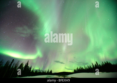 Aurora Borealis ou Northern Lights, au Yukon. Banque D'Images