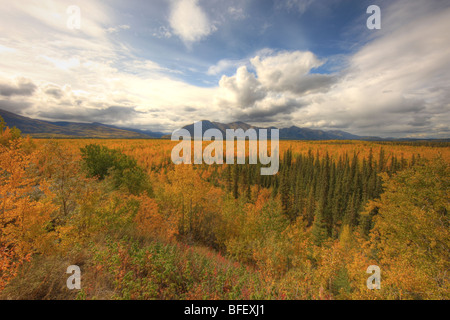 Voir en regardant vers le sud sur la route Canol Sud au cours de l'automne, au Yukon. Banque D'Images