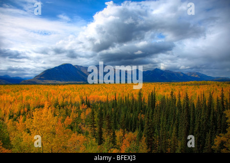 Voir en regardant vers le sud sur la route Canol Sud au cours de l'automne, au Yukon. Banque D'Images