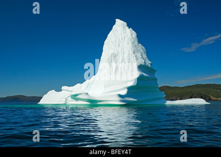 Iceberg flotte dans la baie de la Trinité au large de la péninsule de Bonavista de l'Est de Terre-Neuve, Terre-Neuve et Labrador, Canada. Banque D'Images