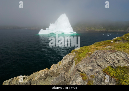 Iceberg en passant le brouillard flotte dans la baie de la Trinité au large de la côte rocheuse de la péninsule de Bonavista à l'Est de Terre-Neuve Terre-Neuve et Labr Banque D'Images