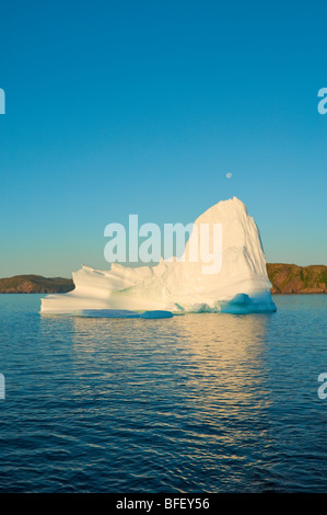 À l'aube d'Iceberg flotte dans la baie de la Trinité au large de la péninsule de Bonavista de l'Est de Terre-Neuve, Terre-Neuve et Labrador, Canada. Banque D'Images