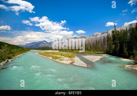 La rivière Kootenay, parc national de Kootenay en Colombie-Britannique, Canada, mountain Banque D'Images