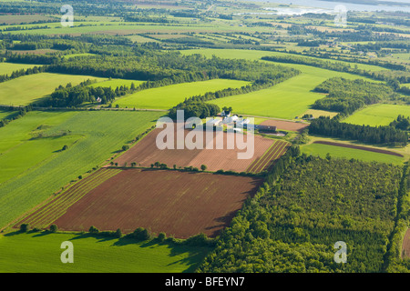 Vue aérienne de ferme, Prince Edward Island, Canada Banque D'Images