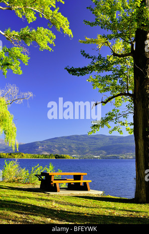 Table de pique-nique au parc de la pyramide près de Summerland, en Colombie-Britannique. La verticale Banque D'Images