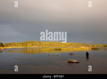 Pêcheur à la mouche dans une petite rivière, la Finlande Banque D'Images