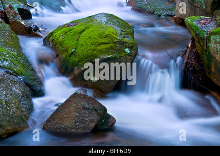 Une petite cascade dans un bois situé sur l'Ouragan Mountain Road à North Conway, New Hampshire, USA Banque D'Images