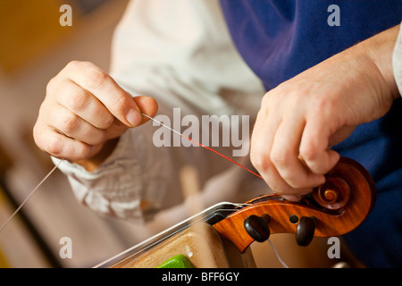 Violon, Violoncelle, mandoline, viole, de restauration, de réparation et de ventes, Banque D'Images