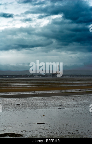 Forage de l'Estuaire de Cromarty Ecosse couvant sombre Banque D'Images