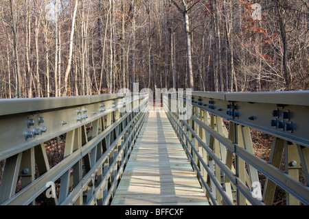 Abaisser la Brandywine Falls Banque D'Images