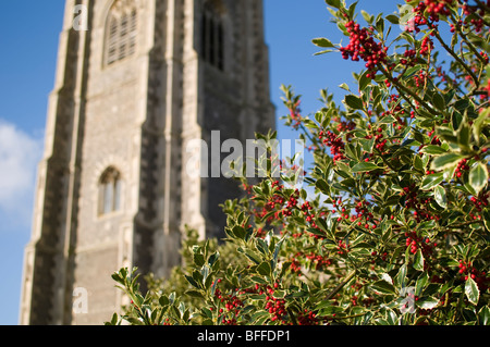 Des baies de houx rouge sur un buisson avec un tour de l'église en arrière-plan. Banque D'Images