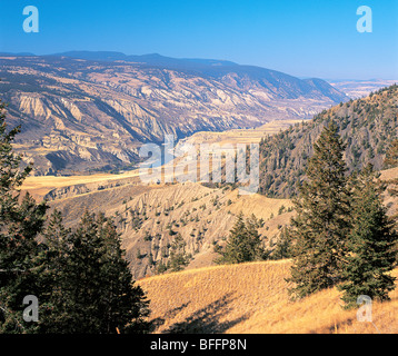 Vallée du fleuve Fraser, près de Dog Creek, au sud de Williams Lake, région de Cariboo, en Colombie-Britannique, Canada Banque D'Images