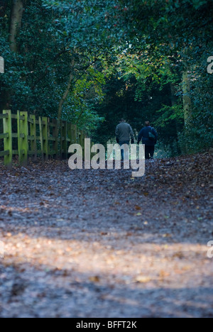 Un couple au travail à pied le long d'un chemin forestiers sur un matin d'automne ensoleillée. Banque D'Images