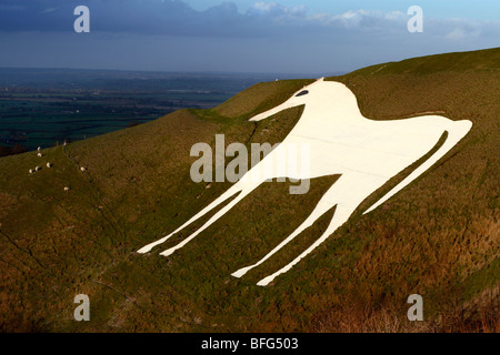 Westbury White Horse, Westbury hill, Wiltshire, England, UK Banque D'Images