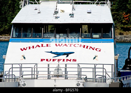 Un bateau attend de prendre sur les passagers pour une visite d'observation des baleines et des macareux moine dans la baie des Français, Bar Harbor, Maine, USA Banque D'Images