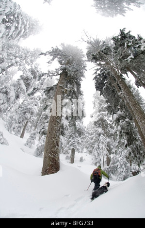 Jeune femme en raquettes sur le sentier du lac d'abord à Seymour Mountain. North Vancouver, Colombie-Britannique, Canada Banque D'Images