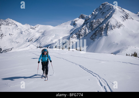 Jeune femme sur la crête de cow-boy. Le ski nordique dans le chant de passage. Parc provincial Garibaldi. Whistler, Colombie-Britannique, Canada Banque D'Images