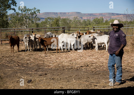 Home Valley Station stockman rassemblement autochtone à cheval dans l'ouest de l'Australie Kimberley sur la Gibb River Road Banque D'Images