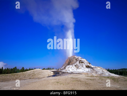 Un geyser dans un geyser basin dans le Parc National de Yellowstone, éclate de la vapeur dans un ciel tôt le matin Banque D'Images