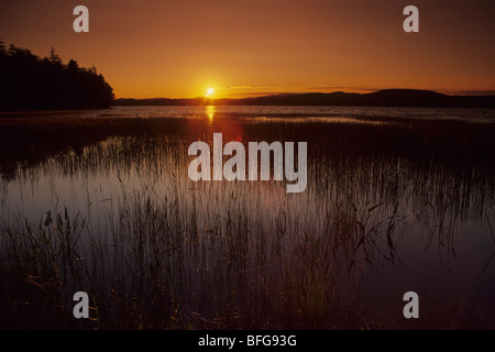 Coucher de soleil sur le lac Pleasant dans Adiroindack spéculateur dans les montagnes de New York Banque D'Images