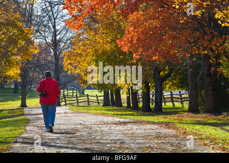 Femme en rouge marche dans Knox Farm State Park à East Aurora New York avec la couleur de l'automne les arbres Banque D'Images