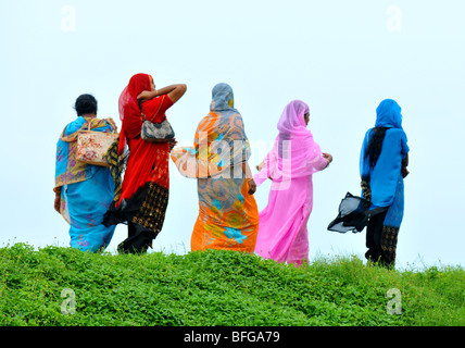 Les femmes sri-lankaises en vinaigrette saris traditionnels, cinq femmes en tenue ailleurs marcher ensemble au Sri Lanka Banque D'Images