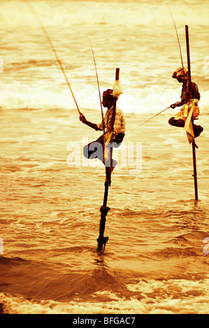 Les pêcheurs sur échasses, Sri Lanka, pêcheur à l'échasse traditionnel Kogalla, Sri Lanka, sri-lankais de pêche sur pilotis Banque D'Images