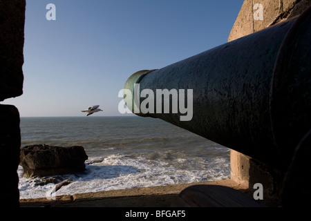 Vue depuis les remparts de la Skala de la ville, un bastion de la mer du 18ème siècle à Essaouira, sur la côte atlantique du Maroc Banque D'Images