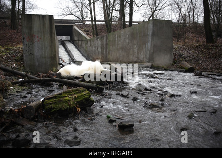 L'eau sale passe par le canal et dans le ruisseau contaminé Banque D'Images