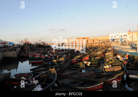 Vue sur les bateaux de pêche dans le port d'El Jadida, Maroc Banque D'Images