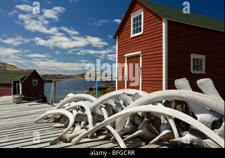 Les os de baleine empilés sur scène, Change Islands, Terre-Neuve et Labrador, Canada Banque D'Images