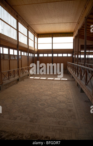 Toit de protection et des allées autour de la mosaïque sur le plancher de la maison de Dionysos Banque D'Images