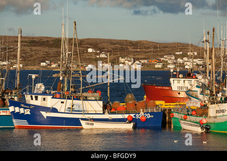 Les bateaux de pêche du crabe, Joe Batt's Arm, l'île de Fogo, Newfoundlad et Labrador, Canada Banque D'Images