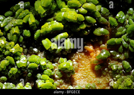 Pyromorphite, laisse chlorophosphate minéral Pb5(PO4)3Cl. Banque D'Images