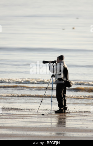 Photographe de la faune de la prise de vue à la côte, à l'aide d'un long téléobjectif sur un trépied Banque D'Images