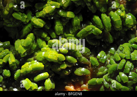 Pyromorphite, laisse chlorophosphate minéral Pb5(PO4)3Cl. Banque D'Images