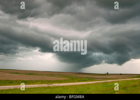 Orages Les nuages qui se forment sur les champs cultivés dans le Dakota du Sud, USA Banque D'Images