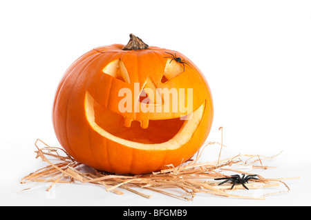 Jack O Lantern sur lit de paille avec les araignées Banque D'Images
