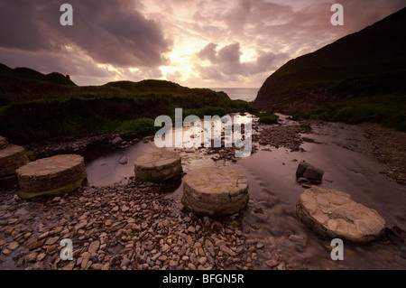 Stepping Stones à travers un petit cours d'eau menant à Welcombe bouche beach sur la côte nord du Devon UK Banque D'Images