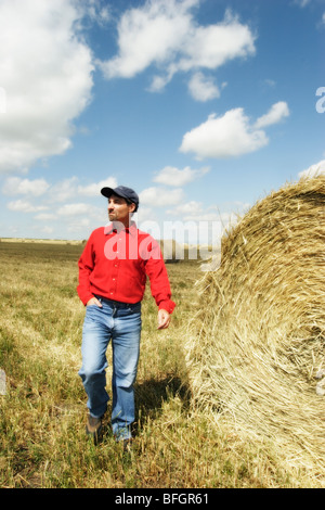Farmer walking in field with hay bales, près de Pincher Creek, Alberta, Canada Banque D'Images