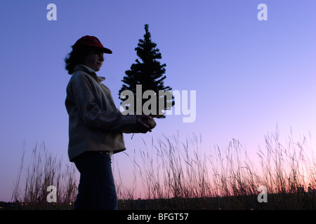 12 ans girl holding pine tree arbrisseau. Banque D'Images