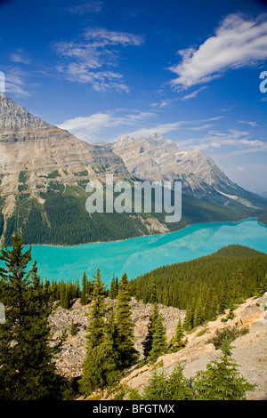 Vue depuis le Lac Peyto, Banff National Park, Alberta, Canada Banque D'Images