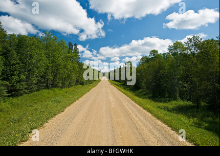 Route de campagne à travers la forêt boréale. Le Parc provincial Duck Mountain, Manitoba, Canada Banque D'Images