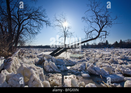 Embâcle sur la rivière Rouge, au cours de l'inondation de 2009. Winnipeg, Manitoba, Canada. Banque D'Images