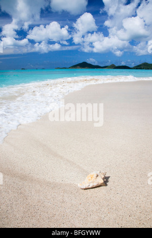 Ffyres Bay, Antigua avec coquillage et Pearns Point de l'horizon Banque D'Images