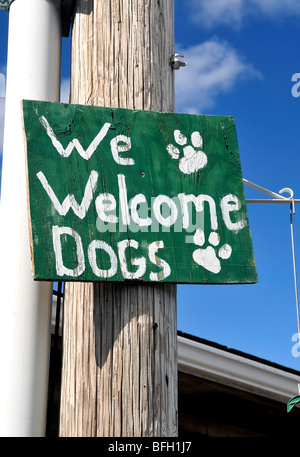 Un panneau vert dit "Nous nous félicitons des chiens à Bar Harbor, Mt. Desert Island, Maine, USA Banque D'Images