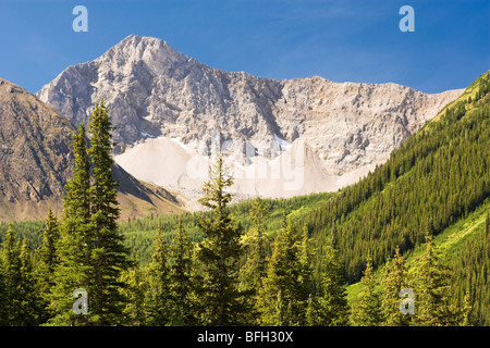 Perdu Lenox Mine, parc provincial Peter Lougheed, l'Alberta, Canada Banque D'Images