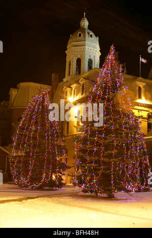 Les arbres de Noël en face de l'Assemblée législative du Nouveau-Brunswick, Fredericton, Nouveau-Brunswick, Canada Banque D'Images